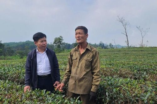 'Người không quay đầu' dệt nên những mùa Xuân đẹp trên dải đồi hoang