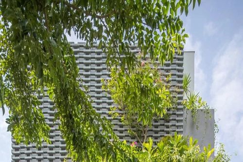 Thiết kế nhà ống với hệ vỏ nhiệt đới