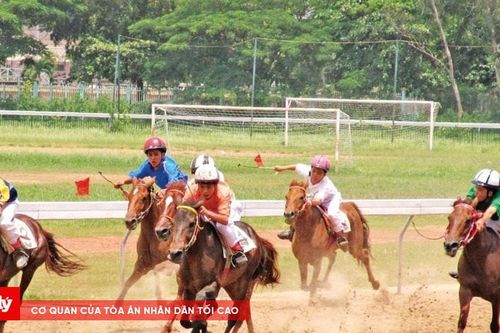 Bâng khuâng vó ngựa đường đua