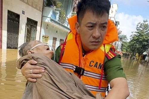 Căn tính Việt như mầm xanh cội