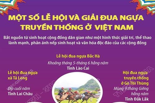 Một số lễ hội và giải đua ngựa truyền thống ở Việt Nam