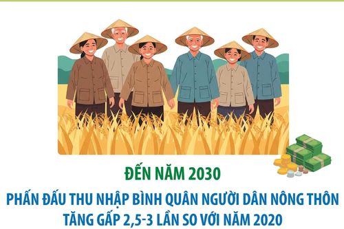 Đến năm 2030, phấn đấu thu nhập bình quân người dân nông thôn tăng gấp 2,5-3 lần so với năm 2020
