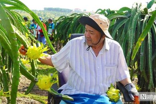 'Trái ngọt' của tư duy làm nông nghiệp bài bản