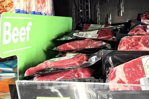 Giá thịt bò Mỹ chạm mức cao kỷ lục