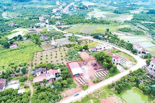 Xã Lục Sơn: Đánh thức tiềm năng từ núi rừng