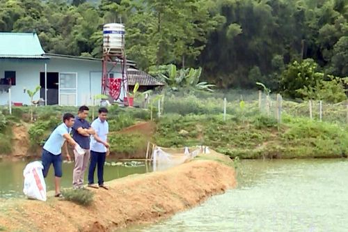 Đón tết trong niềm vui thoát nghèo