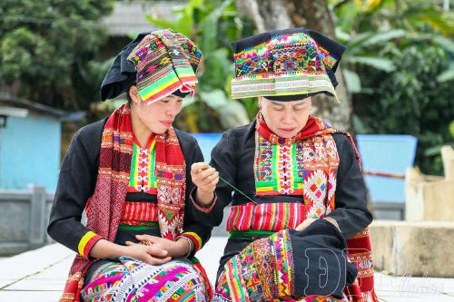 Hồi sinh sau lũ