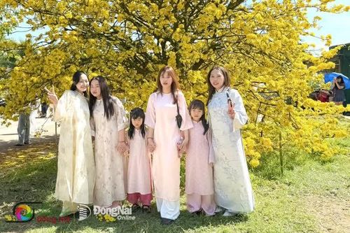 Ngắm 'cụ' mai thất thập cổ lai hy - hiện tượng mạng xã hội mỗi dịp đầu năm tại Đồng Nai