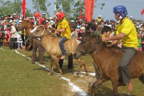 Ngàn năm bóng ngựa