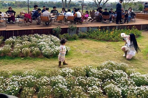 Mùng 3 Tết: Gia Lai rộn ràng đón du khách gần xa