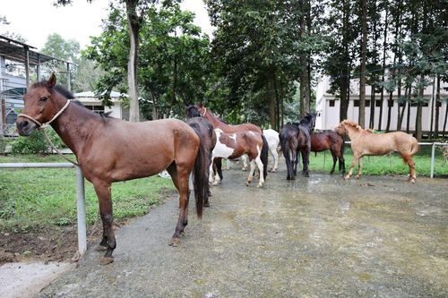 Những 'chiến binh' thầm lặng hiến máu cứu người