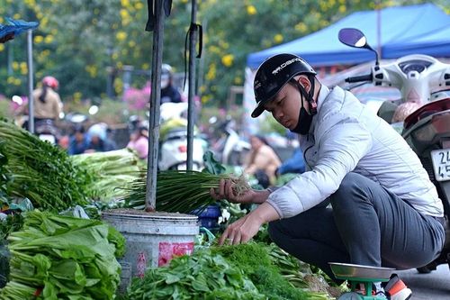 Thị trường thực phẩm, rau xanh ngày Tết