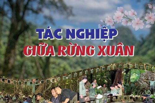 Tác nghiệp giữa rừng xuân