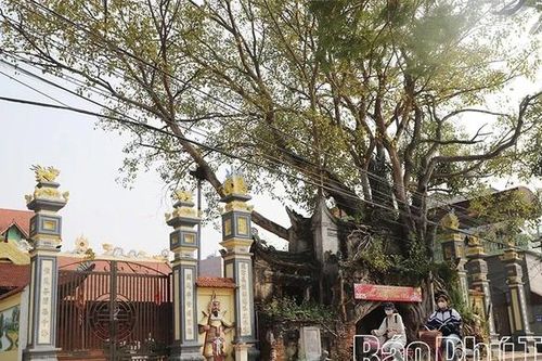 Độc đáo cổng đình Phú Hậu
