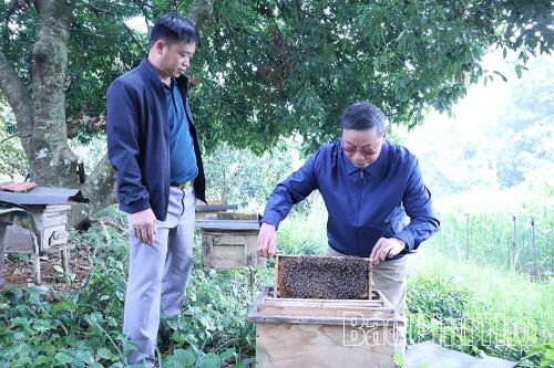 'Sợi dây' gắn kết cộng đồng
