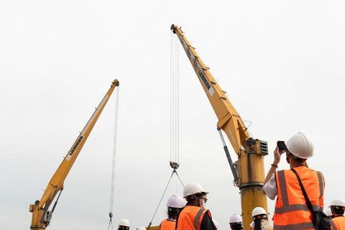 MIT University Vietnam – Trường Đại học Công nghệ Miền Đông: Đón Xuân Bính Ngọ 2026 với khát vọng kiến tạo 'Đại học ứng dụng'