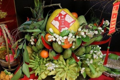Cách bày mâm ngũ quả 3 miền Tết Bính Ngọ 2026 chuẩn nhất, ý nghĩa, hút tài lộc, may mắn cả năm