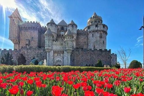 Du xuân Bính Ngọ 2026: Lạc vào 'xứ sở hoa tulip' trên đỉnh Núi Chúa