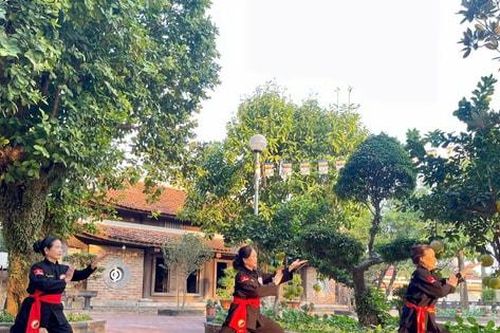Hình tượng ngựa trong võ cổ truyền Việt Nam