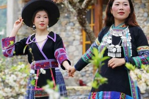 Xuân thức giấc trên cao nguyên đá Đồng Văn