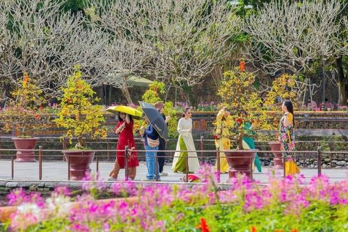Di sản Huế 'khoác áo xuân' lộng lẫy, du khách quốc tế nườm nượp đổ về
