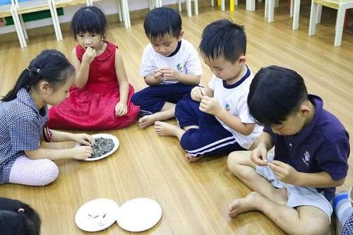 Ngày Tết, trẻ nhỏ cẩn thận hóc dị vật hạt dưa, hạt hướng dương