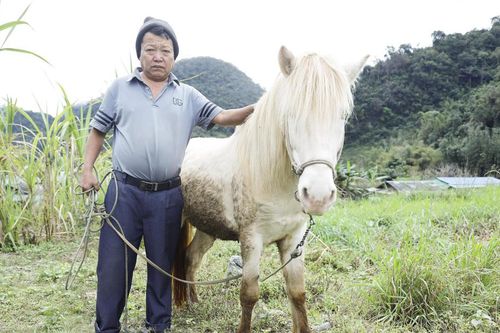 Bước chân ngựa nơi 'cổng trời' Mường Lống