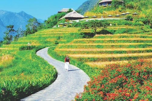 'Ta dại ta tìm nơi vắng vẻ…'