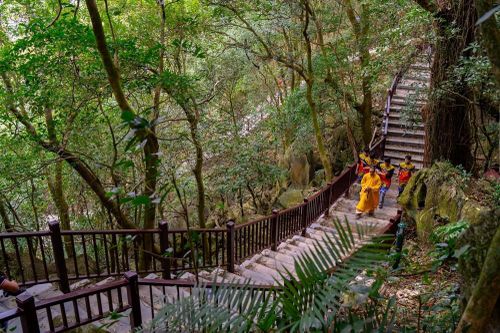 Đón nhận danh hiệu Di sản văn hóa phi vật thể quốc gia