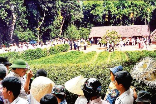 Đi trong sắc Xuân