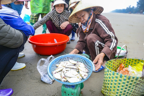 Ngư dân Thanh Hóa vươn khơi, đón 'lộc biển' đầu Xuân