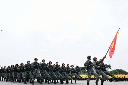 Cảnh vệ lá chắn thép