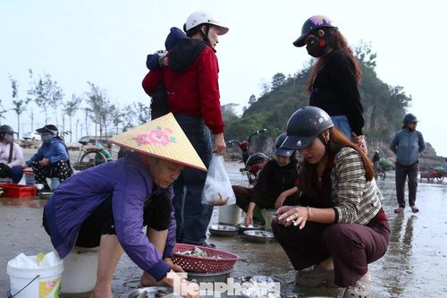 Mở biển lấy lộc, chợ hải sản ven biển nhộn nhịp ngày đầu năm