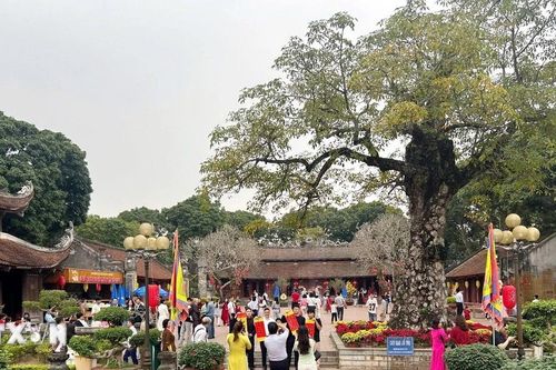 Côn Sơn-Kiếp Bạc đón hơn 165.000 lượt khách những ngày đầu Năm mới