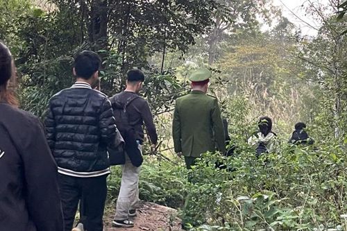 Đưa 4 du khách lạc rừng Tây Yên Tử về nơi an toàn