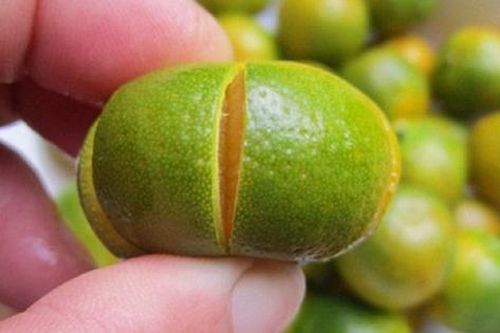 Loại quả là 'báu vật' ngày Tết, đi chợ thấy bỏ qua quá phí