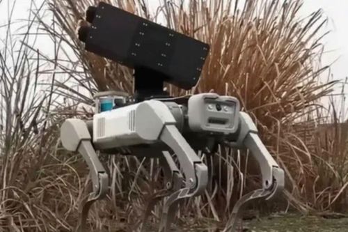 Xuất hiện 'robot chó' mang tên lửa