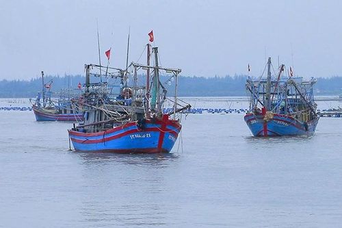 Hướng ra biển lớn