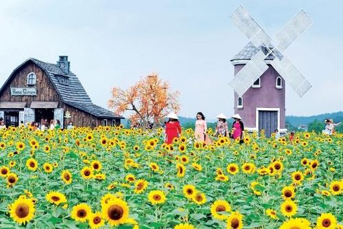 Phường Đa Mai: Tạo đà phát triển nhanh, bền vững