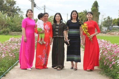 Gia Lai: Những con đường hoa rực rỡ sắc xuân