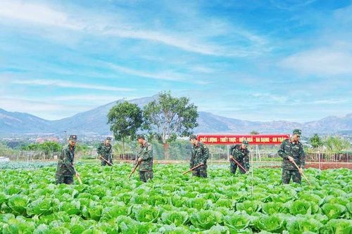 Tăng gia sản xuất, bảo đảm nguồn thực phẩm sạch cho bộ đội