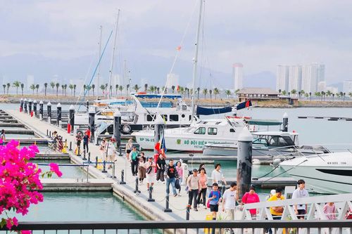 Hơn 3.500 khách du lịch tàu biển đến Nha Trang trong mùng 4 Tết