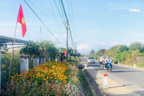 Sắc xuân đong đầy trong những khóm hoa quê