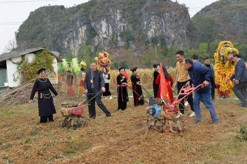 Xuống đồng đầu xuân