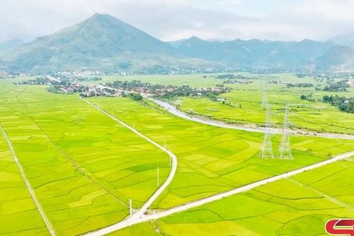 Mường Tấc vào xuân