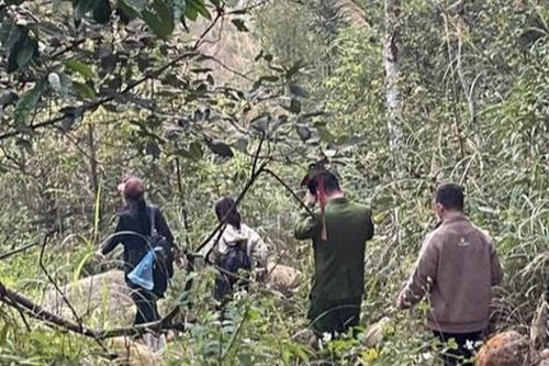 Xuyên đêm tìm kiếm 4 du khách lạc trong rừng nguyên sinh Tây Yên Tử