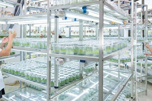 VINAFOR: Bản lĩnh doanh nghiệp nhà nước trong hành trình xanh hóa nền kinh tế