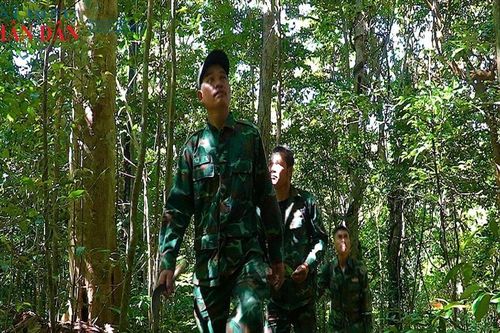 Những người giữ rừng ngày Tết