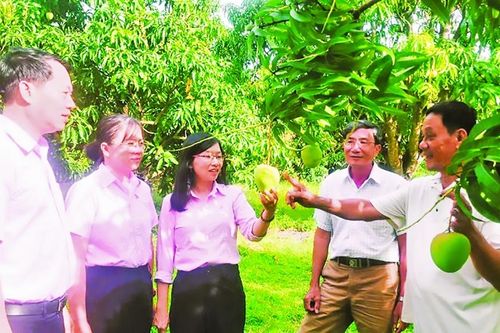 Từ 'nước bạc' đến mầm xanh tín dụng