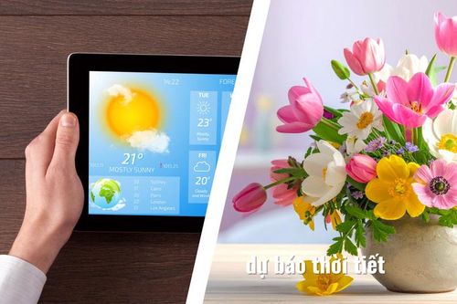Thời tiết 3 miền mùng 4 đến mùng 6 Tết Bính Ngọ